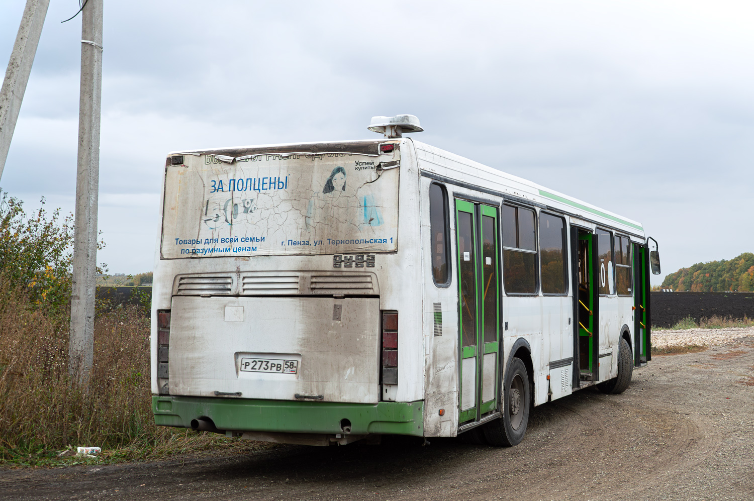 Пензенская область, ЛиАЗ-5256.45 № Р 273 РВ 58