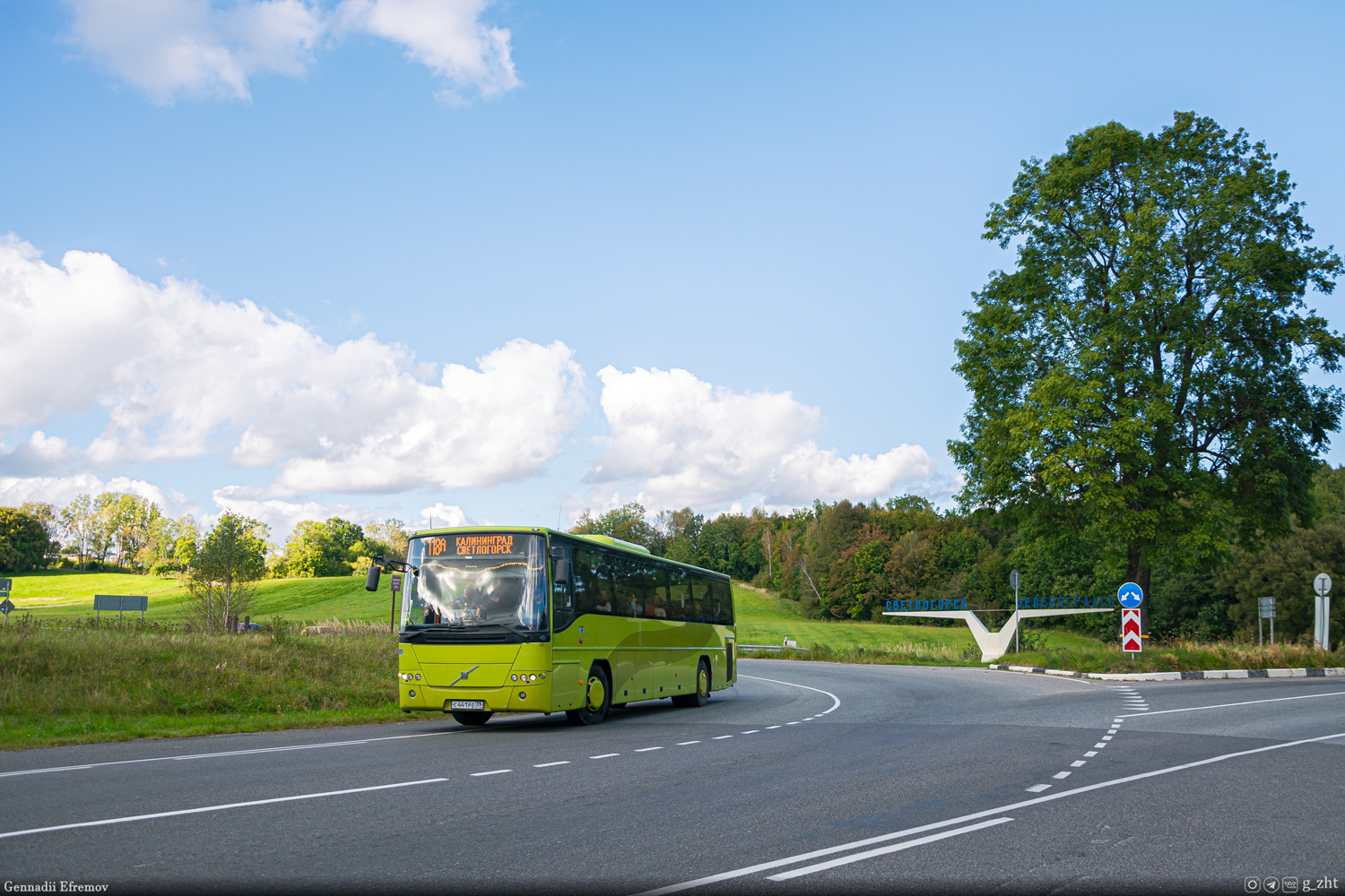 Калининградская область, Volvo 8700 № С 441 РЕ 39