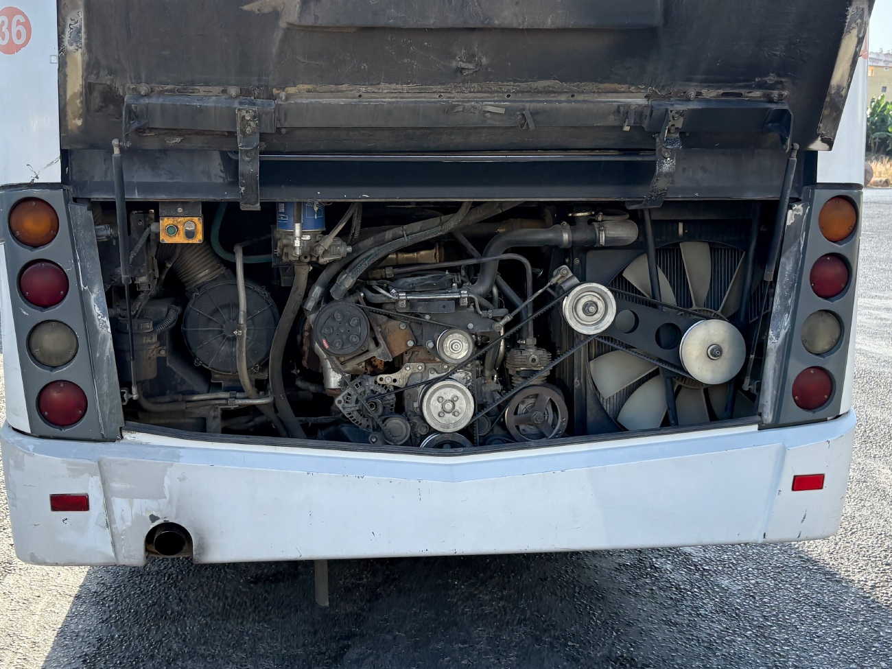 Турция, Anadolu Isuzu Citibus (Yeni) № 36