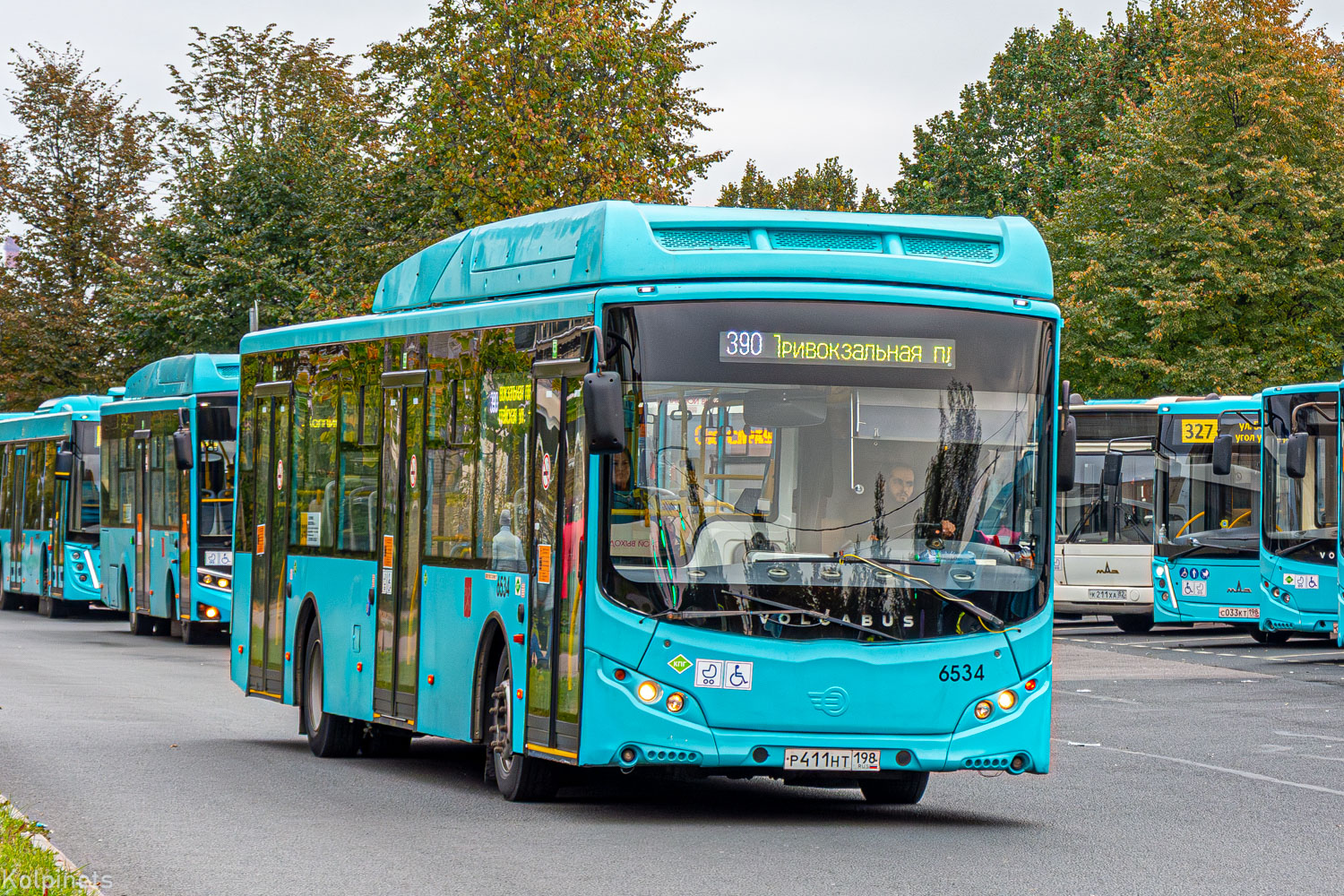 Санкт-Петербург, МАЗ-203.047 № 8540; Санкт-Петербург, Volgabus-4298.G4 (CNG) № 10132; Санкт-Петербург, Volgabus-5270.G4 (CNG) № 6534