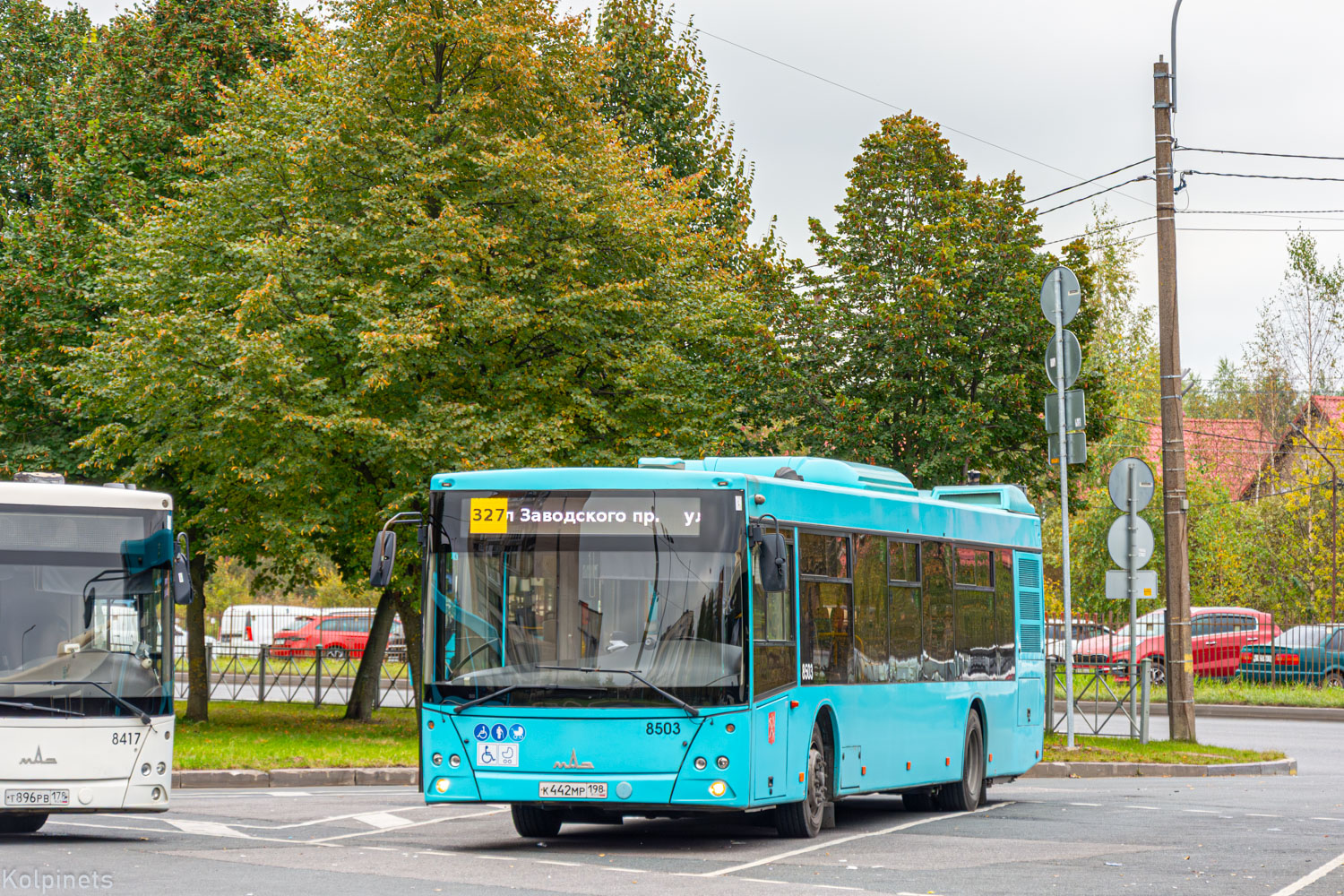 Санкт-Петербург, МАЗ-203.016 № 8503