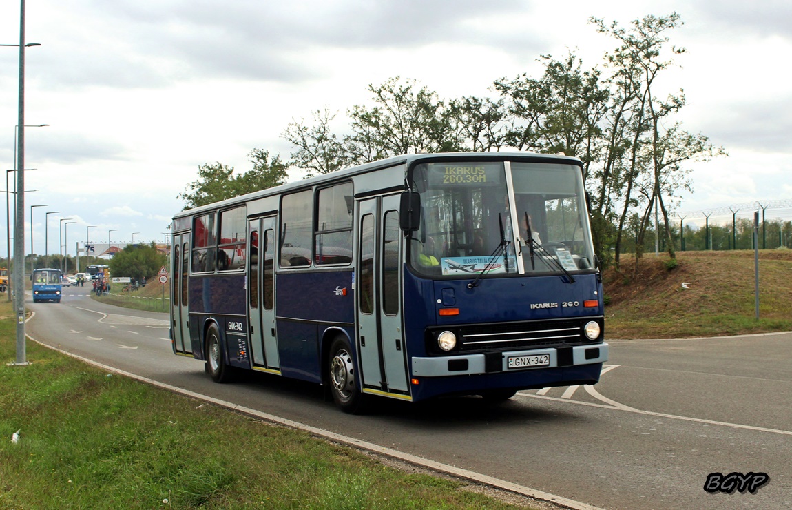 Венгрия, Ikarus 260.30M № GNX-342; Венгрия — VII. Ikarus Találkozó, Aeropark (2025) Венгрия, Ikarus 260.30M № GNX-342; Венгрия — VII. Ikarus Találkozó, Aeropark (2025)