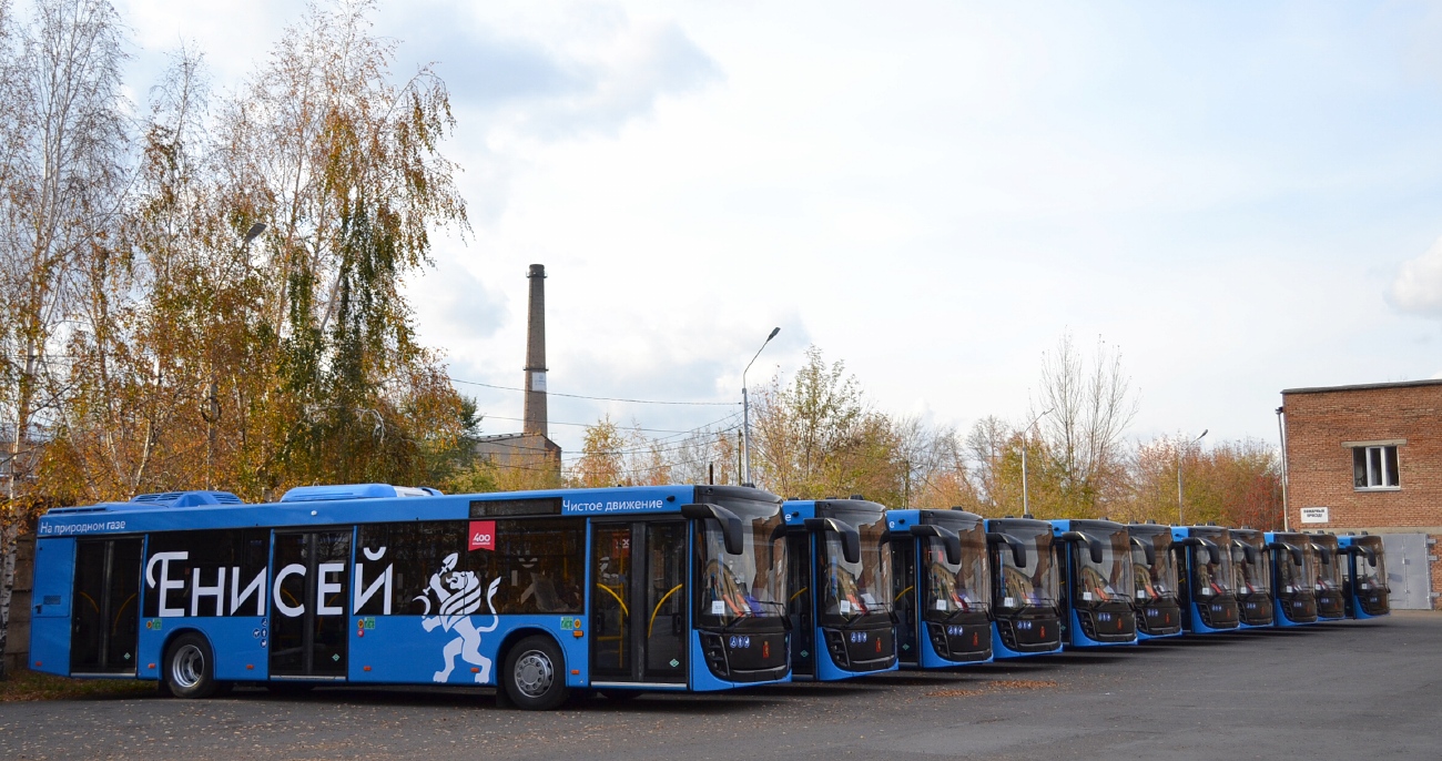 Красноярский край — Новые автобусы