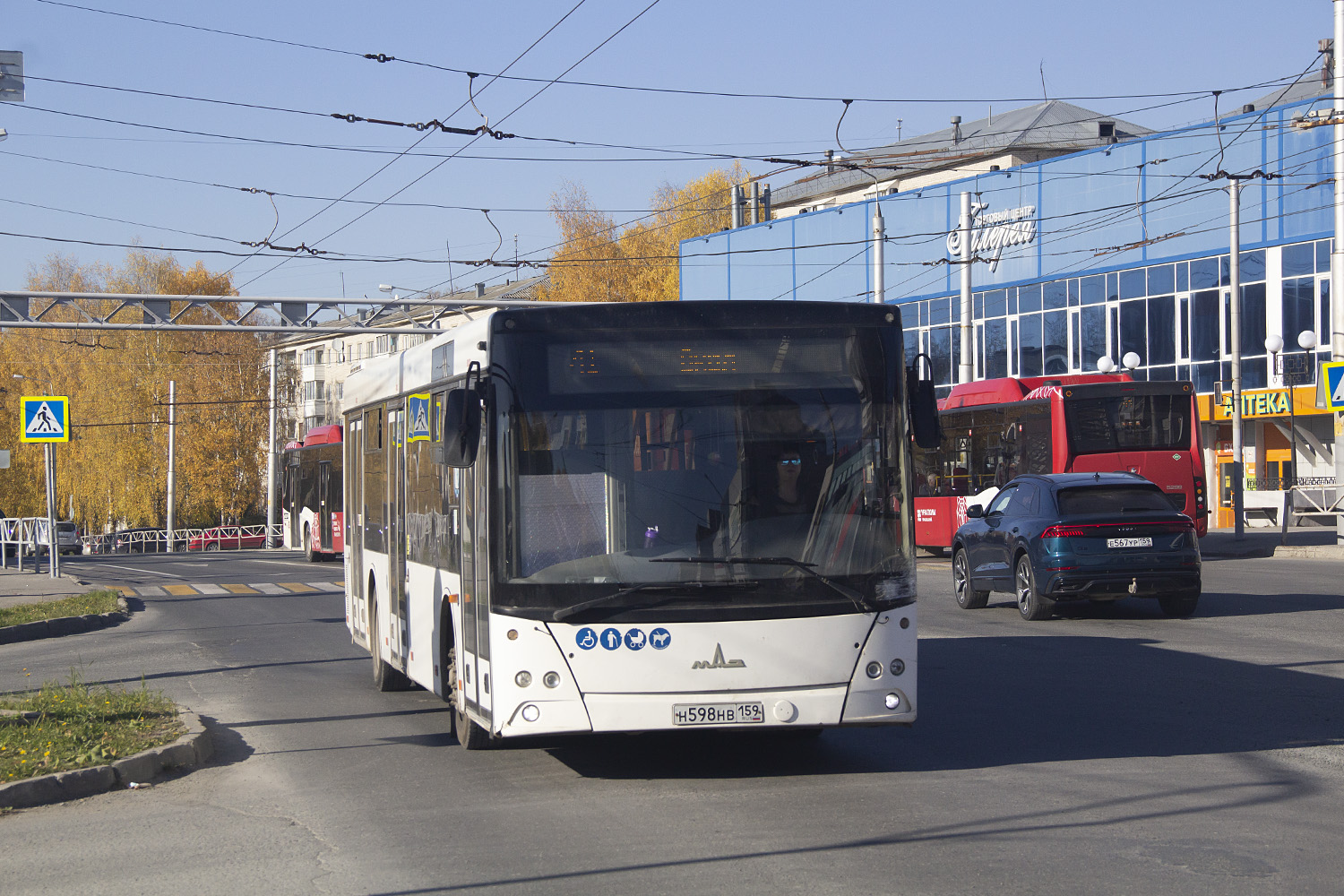 Пермский край, МАЗ-203.016 № Н 598 НВ 159