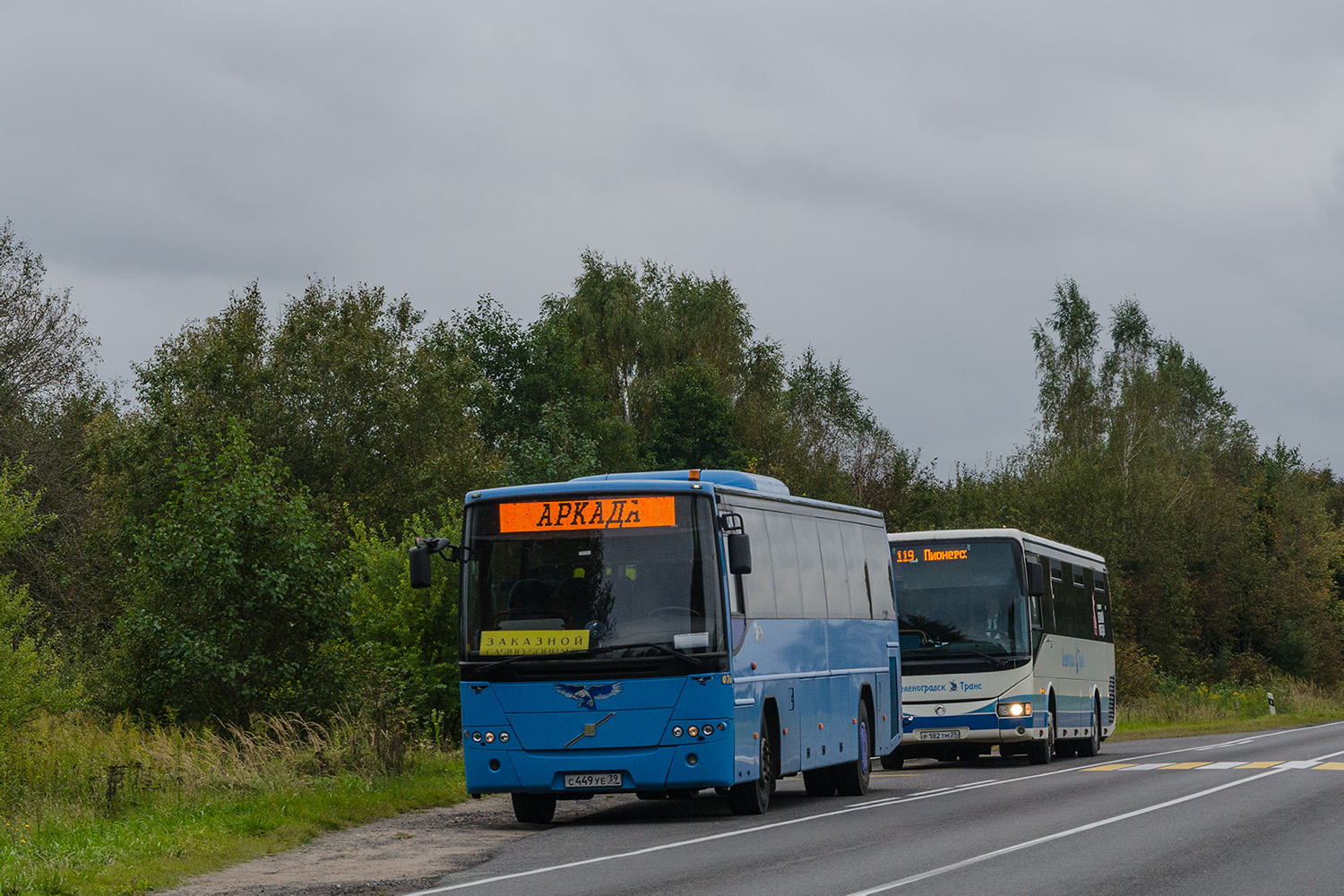 Калининградская область, Volvo 8700 № 076