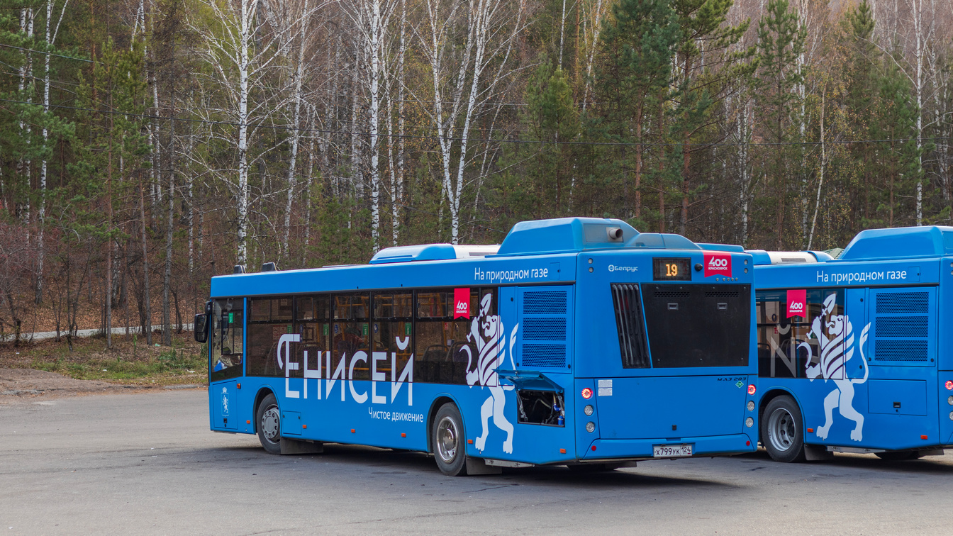 Красноярский край, МАЗ-203.947 № Х 799 УК 124 Красноярский край, МАЗ-203.947 № Х 799 УК 124
