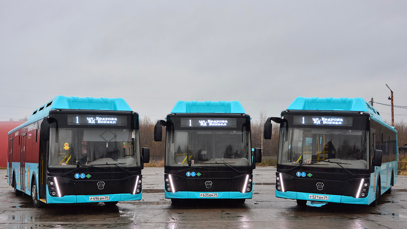 Архангельская область, ЛиАЗ-5292.67 (CNG) № Р 496 ВМ 29; Архангельская область, ЛиАЗ-5292.67 (CNG) № Р 635 ВМ 29; Архангельская область, ЛиАЗ-5292.67 (CNG) № Р 521 ВМ 29 Архангельская область, ЛиАЗ-5292.67 (CNG) № Р 496 ВМ 29; Архангельская область, ЛиАЗ-5292.67 (CNG) № Р 635 ВМ 29; Архангельская область, ЛиАЗ-5292.67 (CNG) № Р 521 ВМ 29