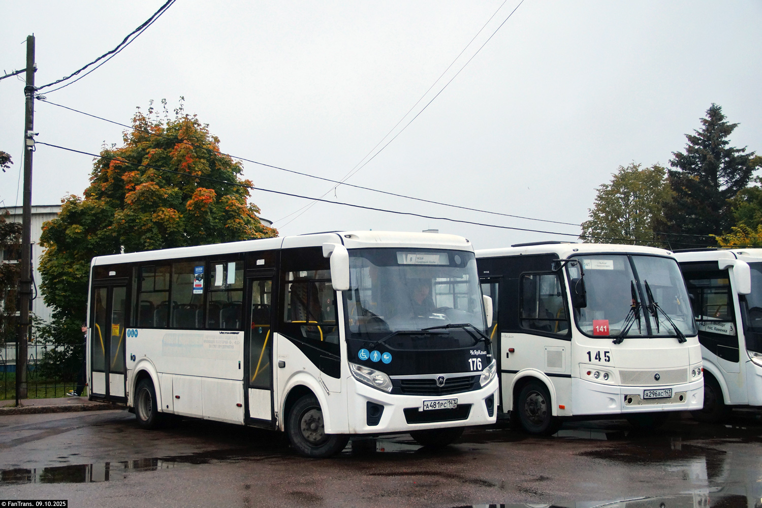 Ленинградская область, ПАЗ-320415-04 "Vector Next" № 176