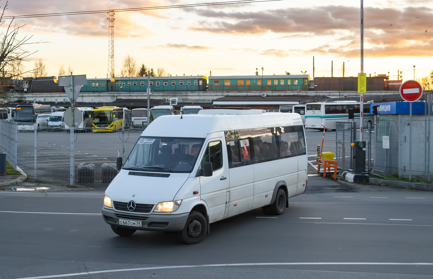 Калининградская область, Луидор-223237 (MB Sprinter Classic) № С 667 СМ 39