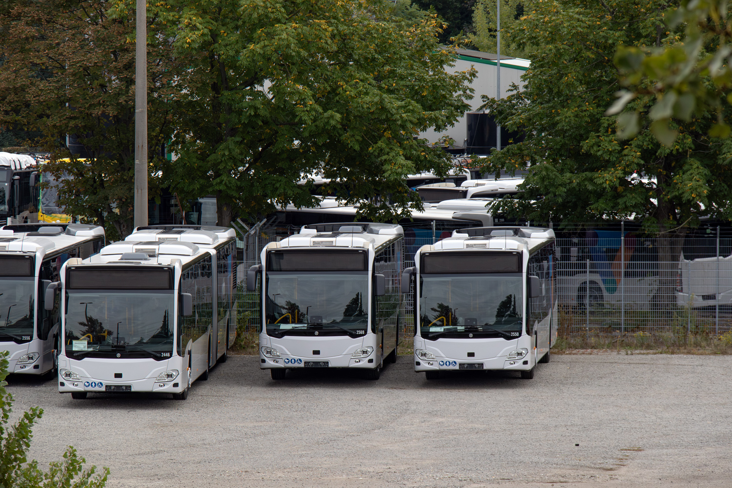 Гамбург, Mercedes-Benz Citaro C2 GÜ № 2446; Гамбург, Mercedes-Benz Citaro C2 № 2550