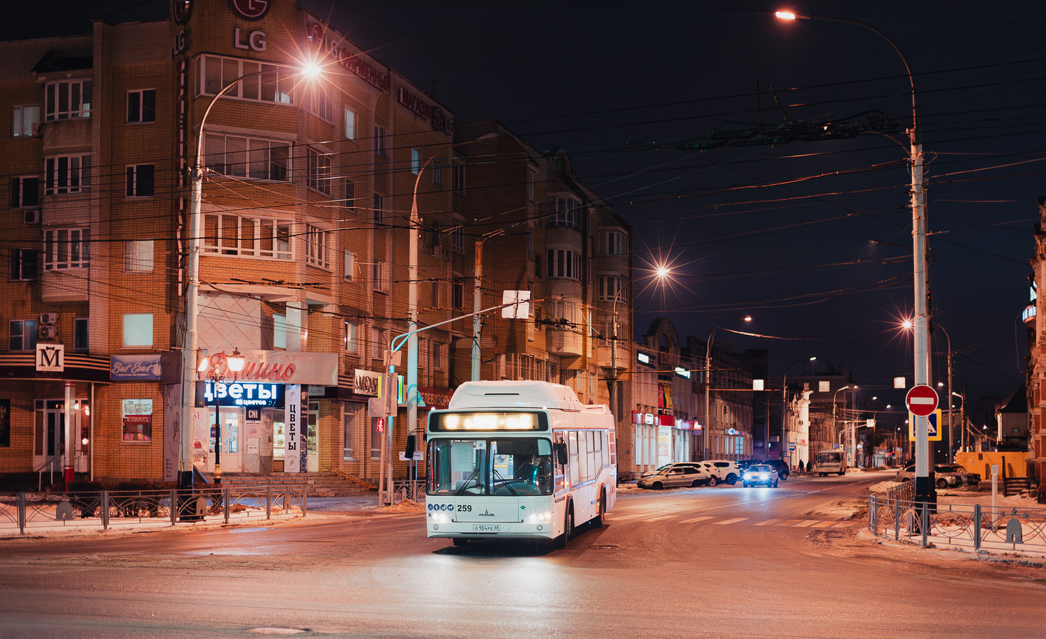 Тамбовская область, МАЗ-103.965 № 259