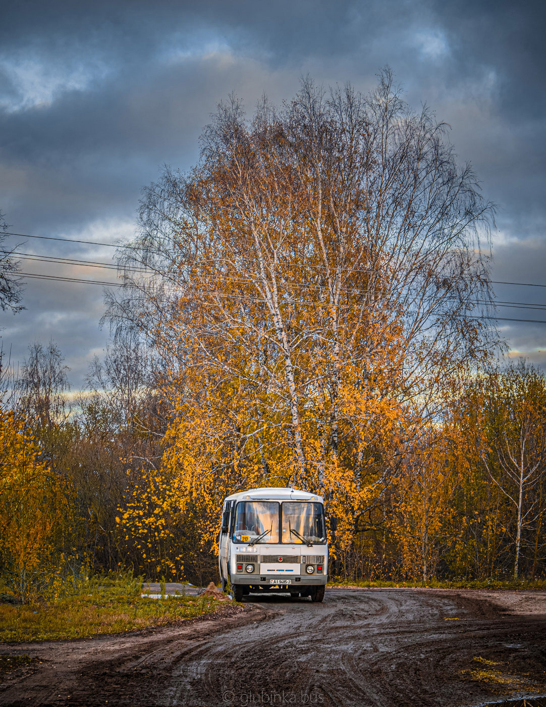 Витебская область, ПАЗ-4234  (все) № АІ 9485-2