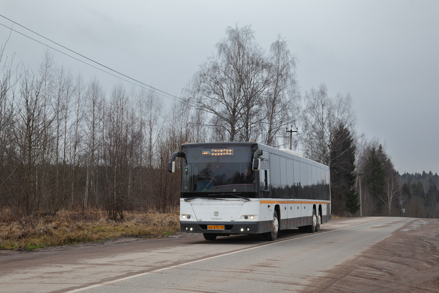 Московская область, ГолАЗ-622810-10 № 105675