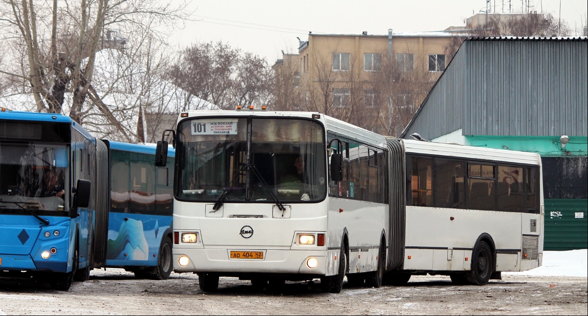 Кемеровская область - Кузбасс, ЛиАЗ-6212.00 № 215