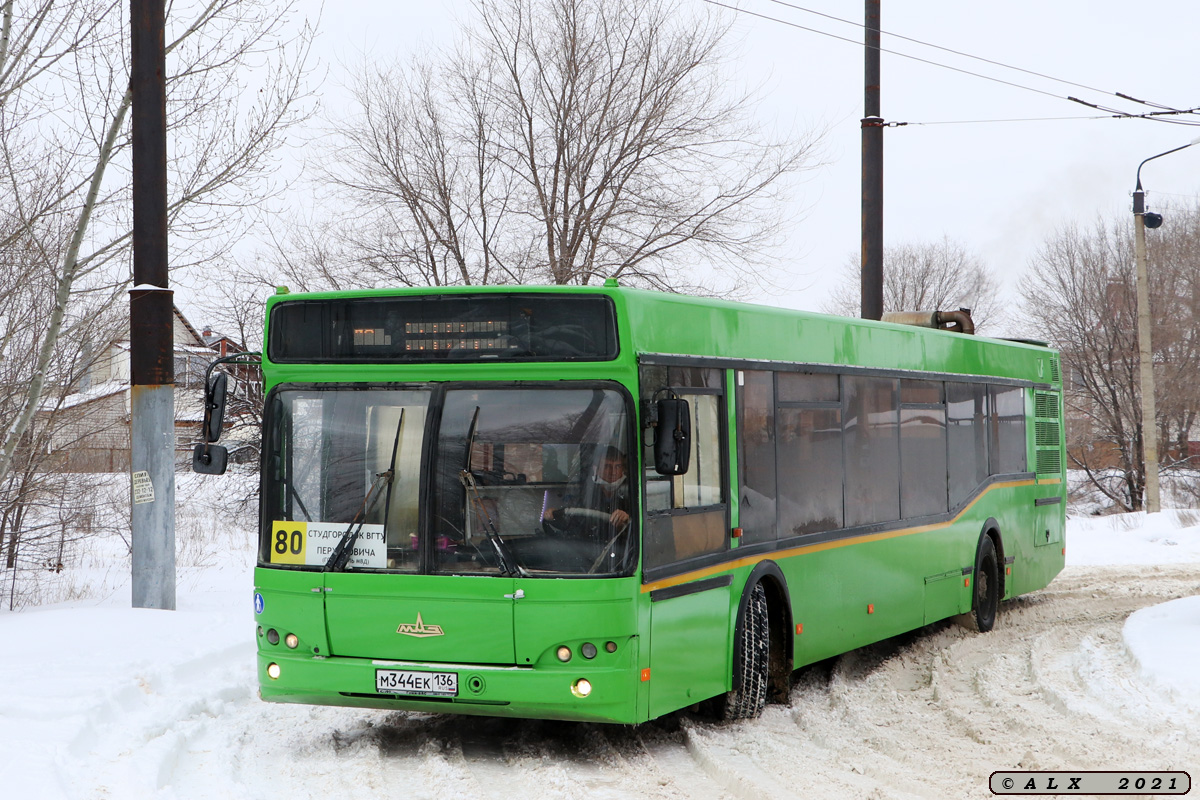 Воронежская область, МАЗ-103.476 № М 344 ЕК 136