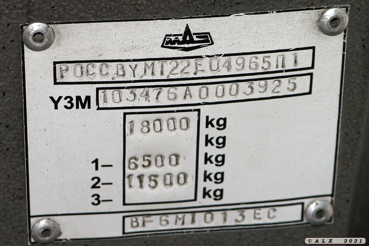 Воронежская область, МАЗ-103.476 № М 344 ЕК 136