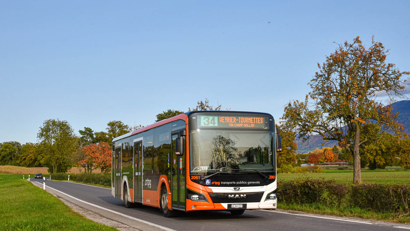 Швейцария, MAN 12C Lion's City 12 NL330 EfficientHybrid № 2061