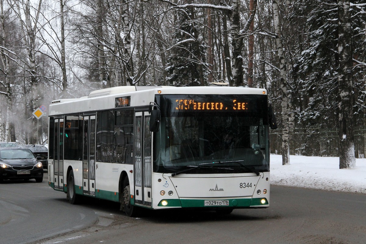 Санкт-Петербург, МАЗ-203.085 № 8344