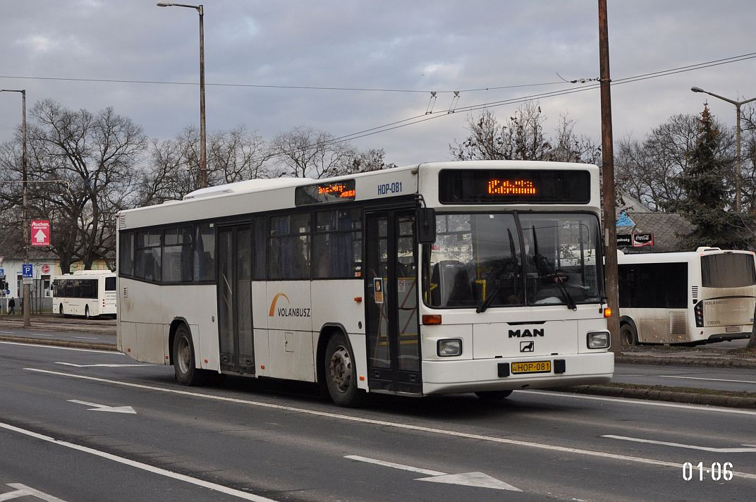 Венгрия, MAN A60 SL222 № HOP-081