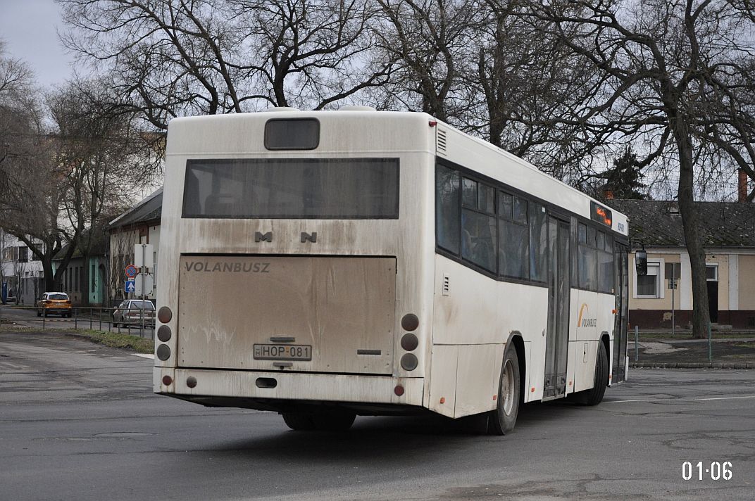 Венгрия, MAN A60 SL222 № HOP-081