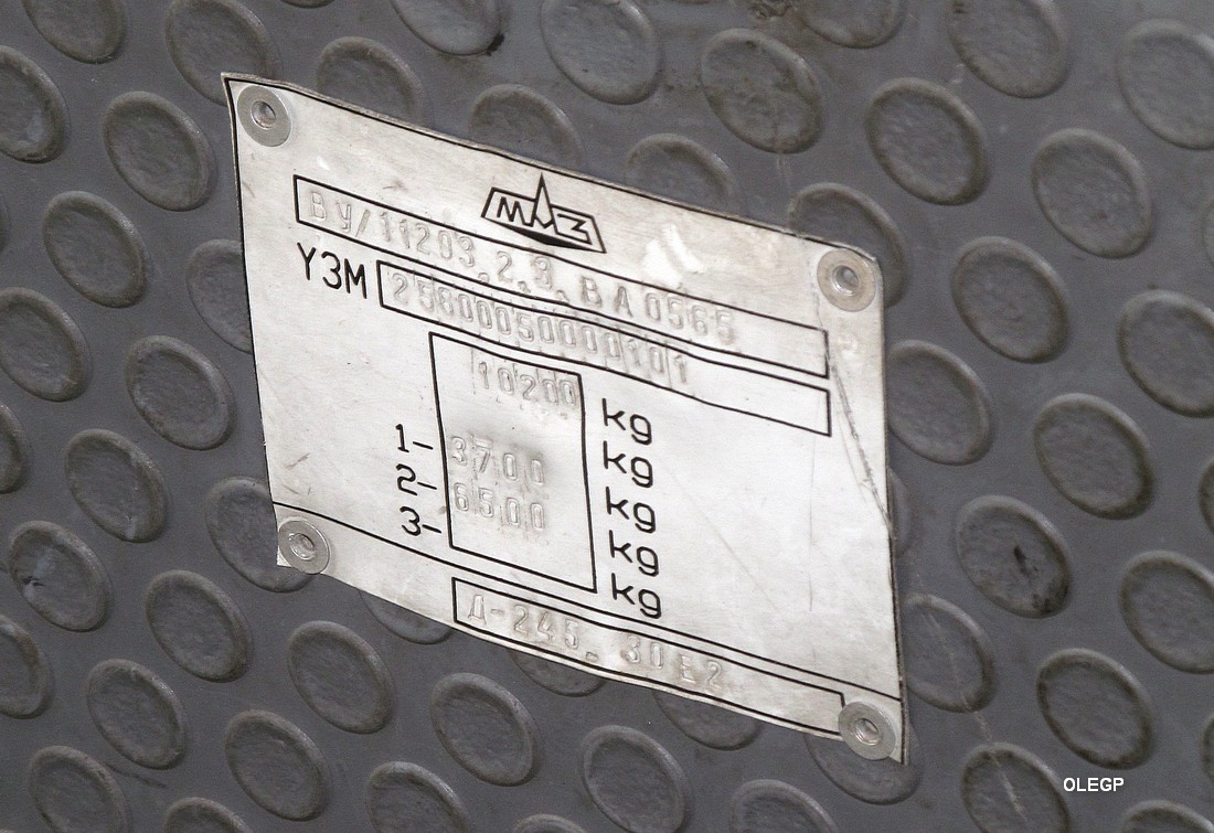 Гомельская область, МАЗ-256.000 № АК 1239-3