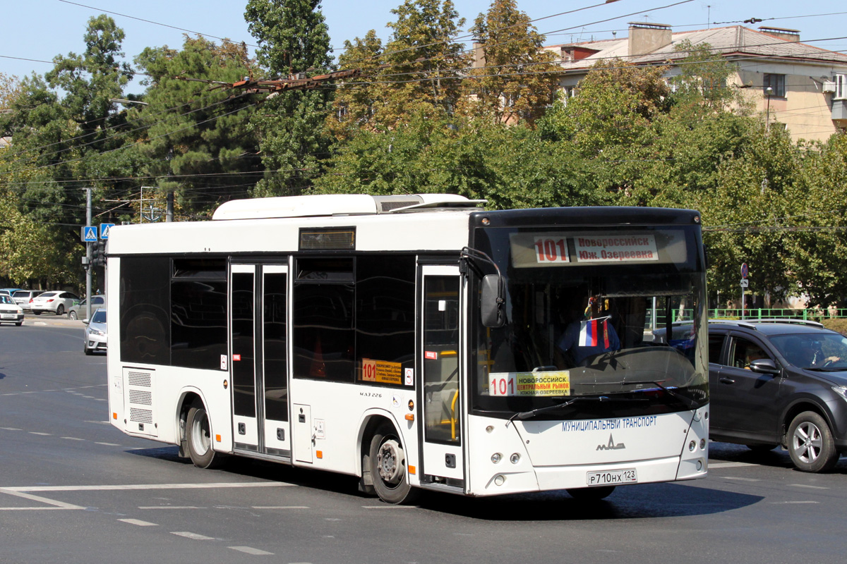 Krasnodar region, MAZ-226.063 Nr. Р 710 НХ 123