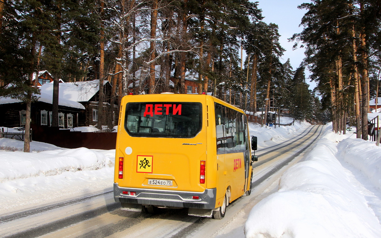 Томская область, Луидор-2250N9 (ГАЗ Next) № Е 524 ЕО 70