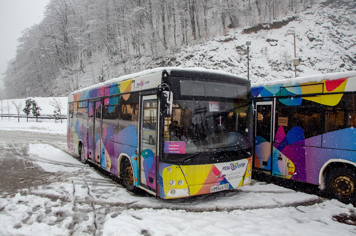 Krasznodari határterület, MAZ-206.067 sz.: Н 993 ЕХ 123
