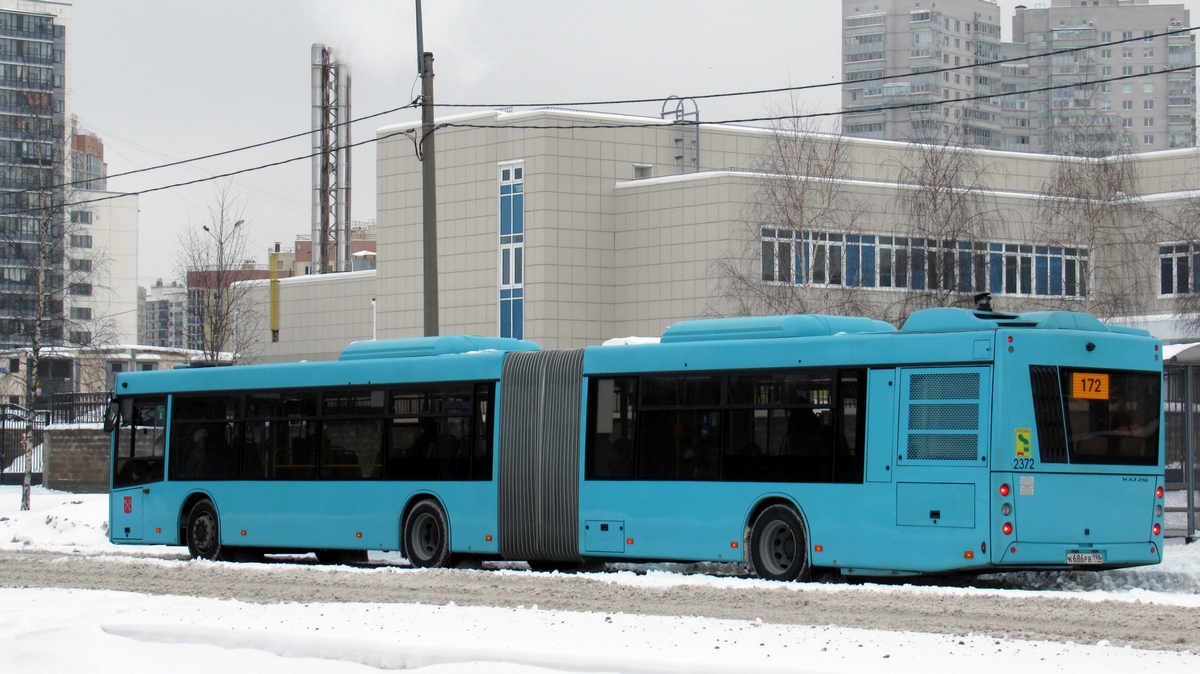 Санкт-Петербург, МАЗ-216.066 № 2372