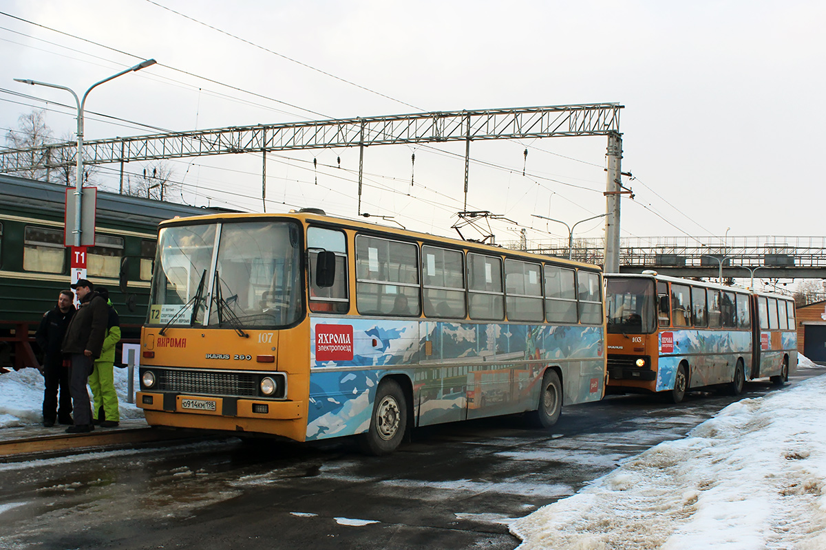 Московская область, Ikarus 260.51F № 107