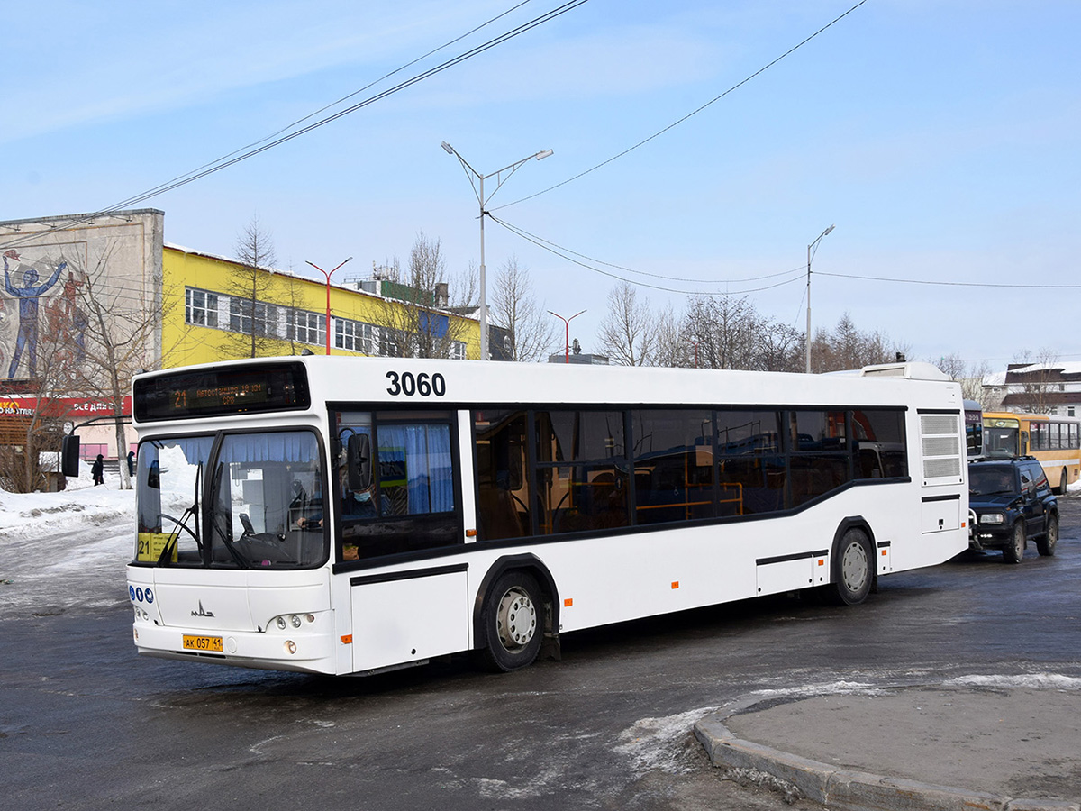 Камчатский край, МАЗ-103.486 № 3060