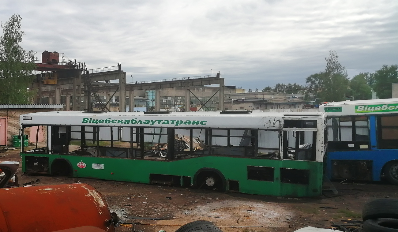 Витебская область, МАЗ-103.041 № 073393