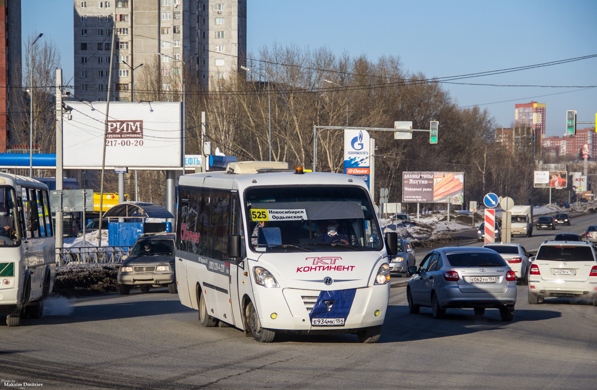 Новосибирская область, Неман-420224-11 № Е 934 МК 154