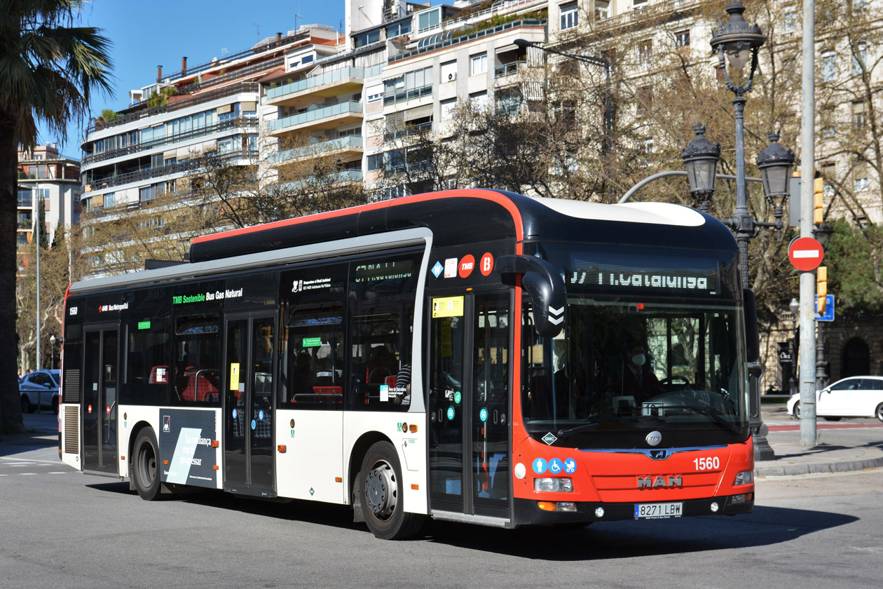 Испания, MAN A21 Lion's City NL313 CNG (Burillo) № 1560