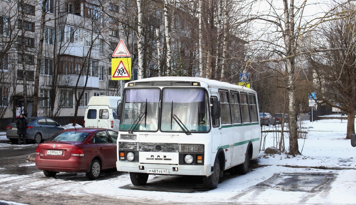 Ленинградская область, ПАЗ-3205-50 № Р 481 УЕ 47