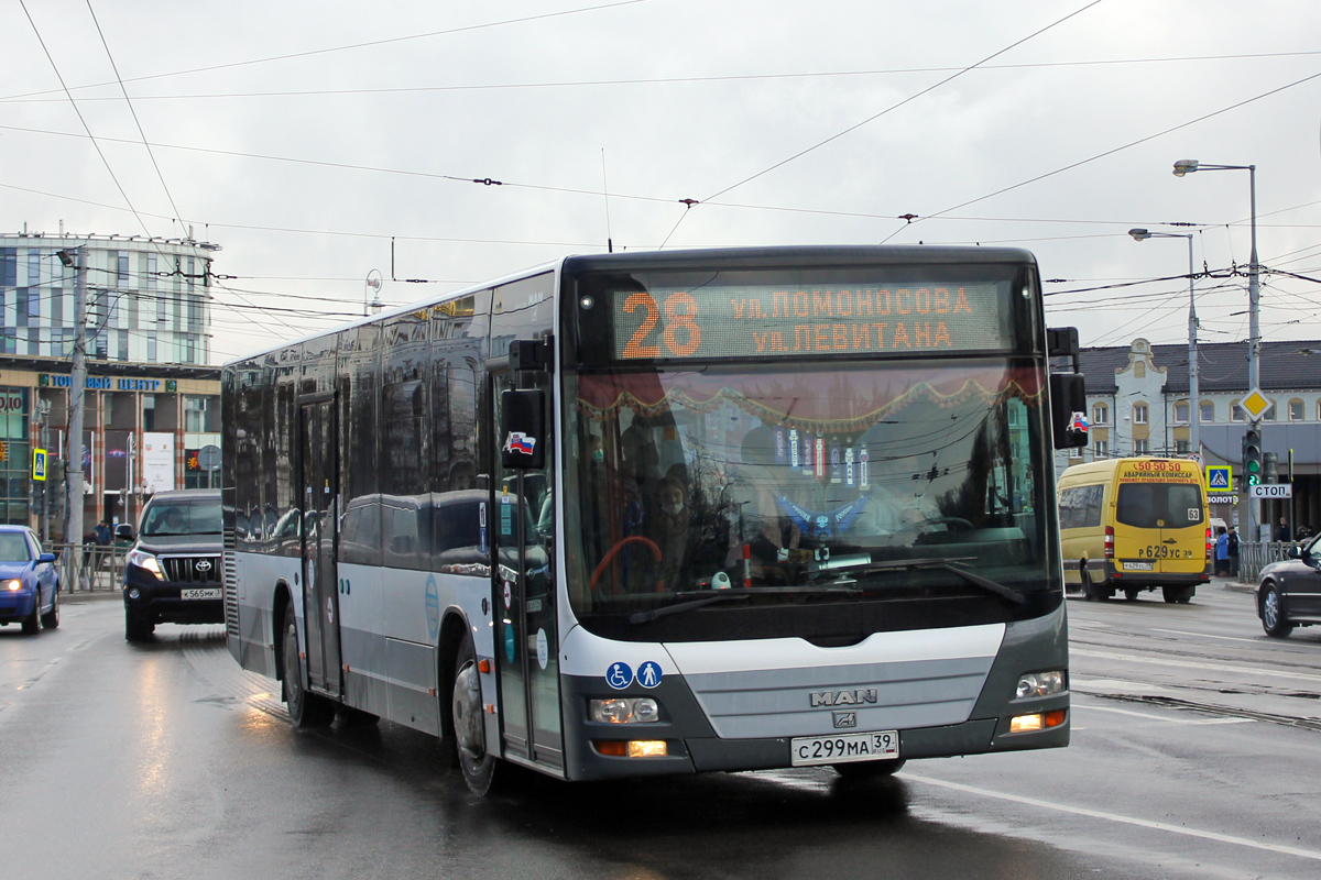 Калининградская область, MAN A21 Lion's City NL273 № С 299 МА 39