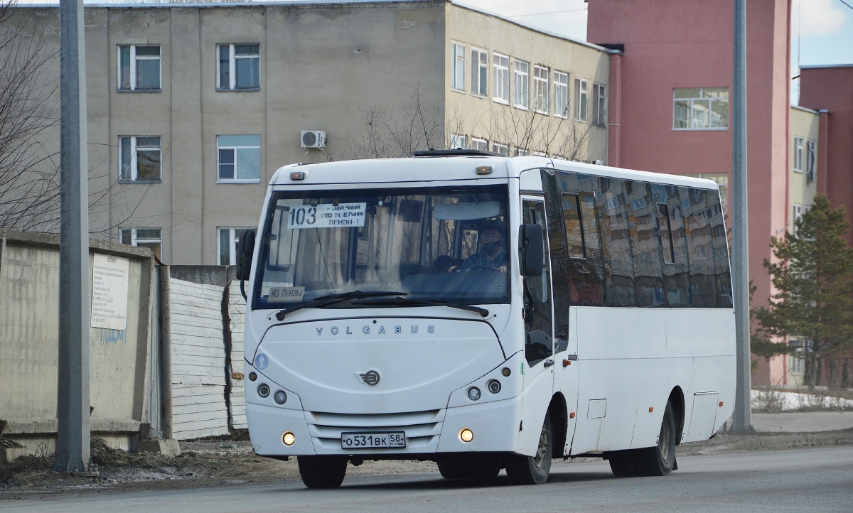 Пензенская область, Volgabus-4298.01 № 412