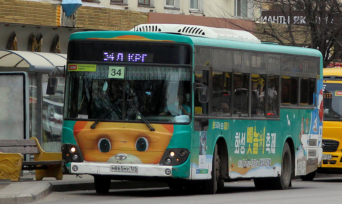 Хабаровский край, Daewoo BC211M Royal Hi-City № 5364