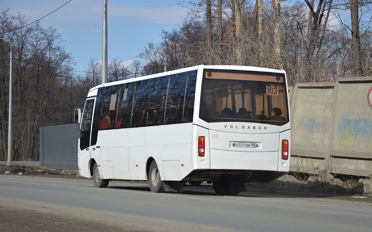 Пензенская область, Volgabus-4298.01 № 412