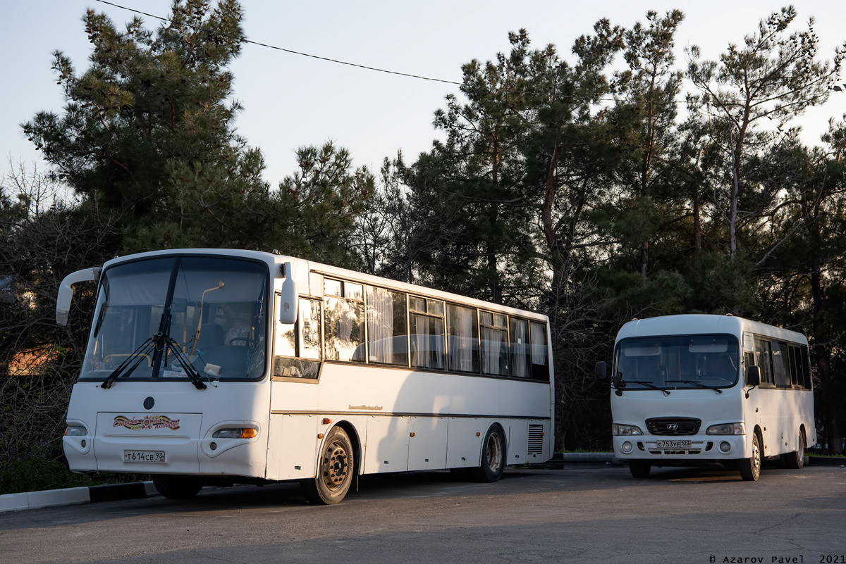 Краснодарский край, КАвЗ-4238-02 № Т 614 СВ 93; Краснодарский край, Hyundai County LWB C09 (ТагАЗ) № С 753 УЕ 123; Краснодарский край — Разные фотографии