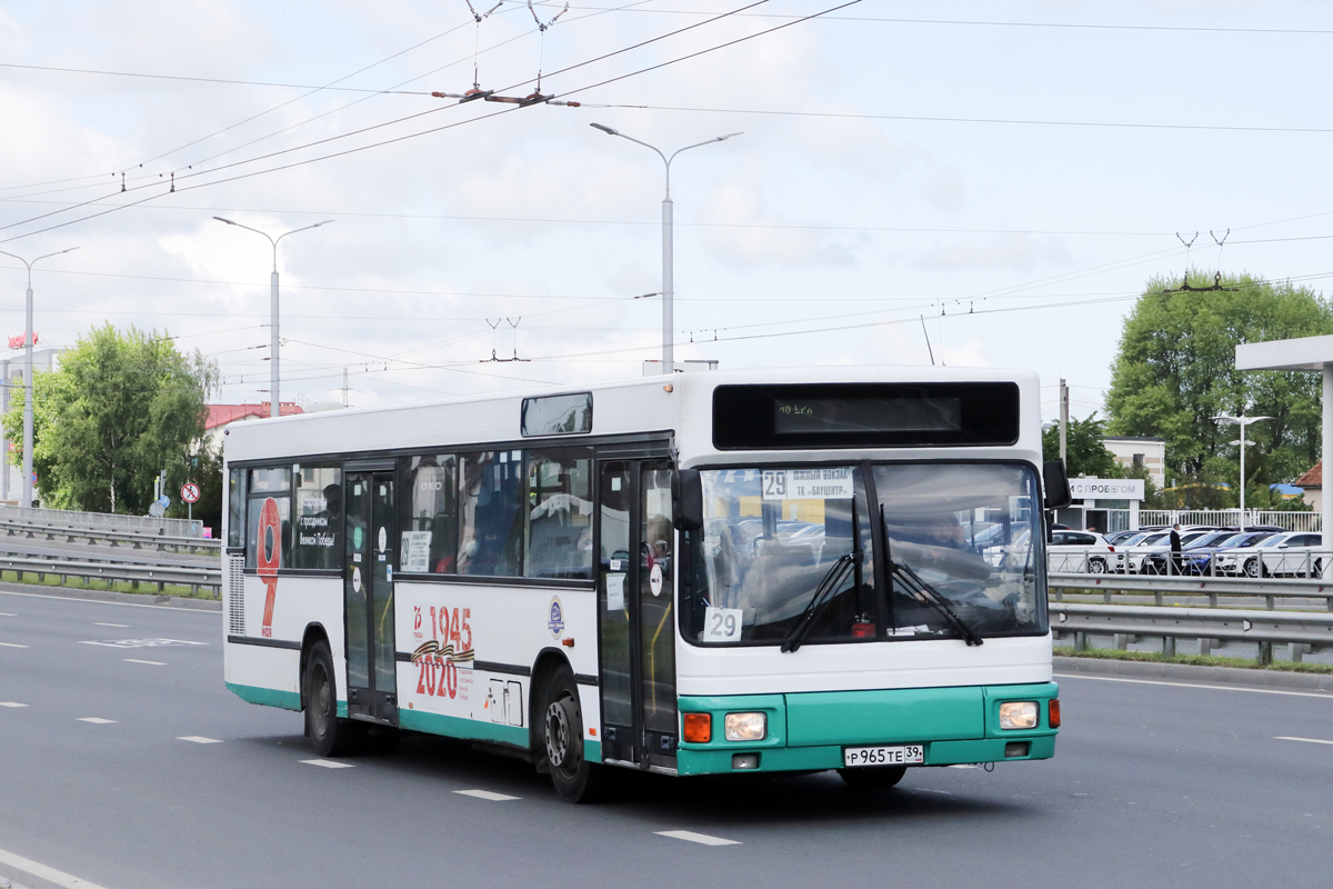 Калининградская область, MAN A12 EL**2 № Р 965 ТЕ 39