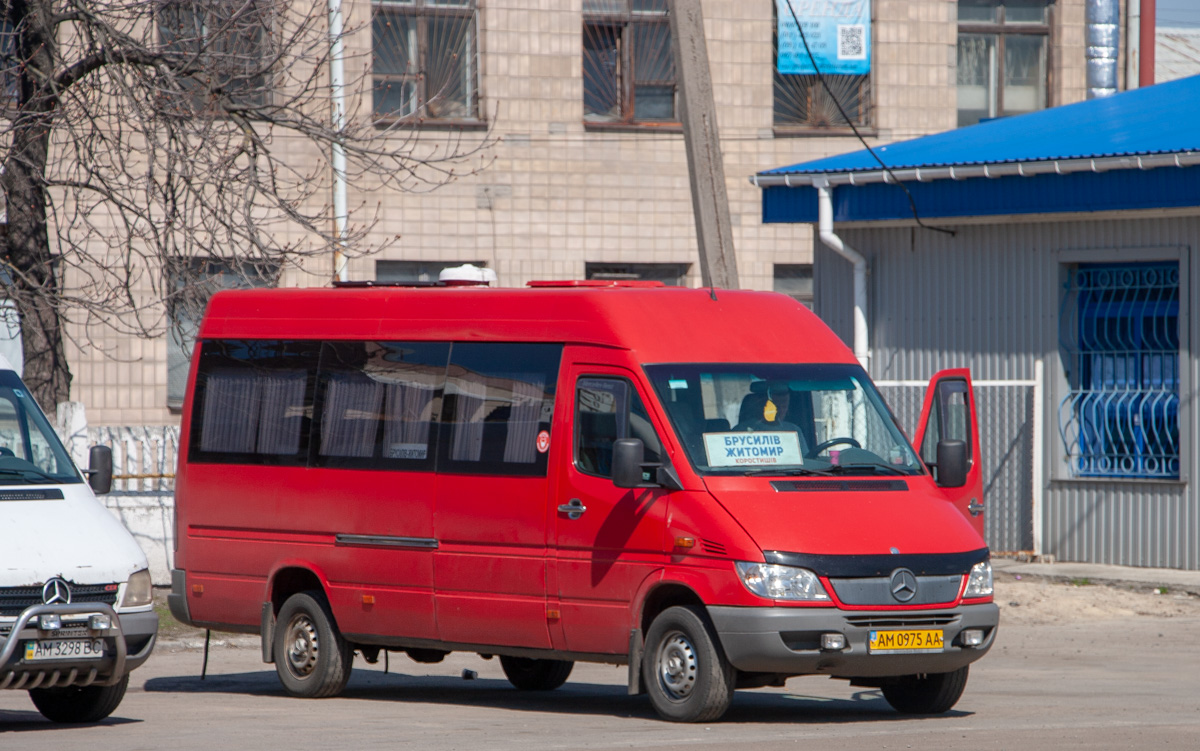 Житомирская область, Mercedes-Benz Sprinter W903 313CDI № AM 0975 AA