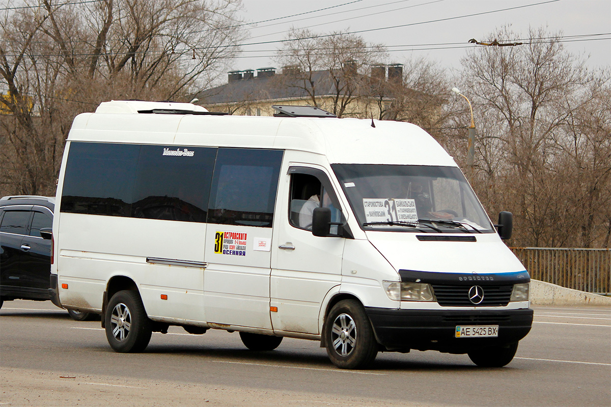 Днепропетровская область, Mercedes-Benz Sprinter W903 310D № AE 5425 BX