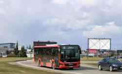 Litva Aўtobus 949 Aўtobusny Transpart
