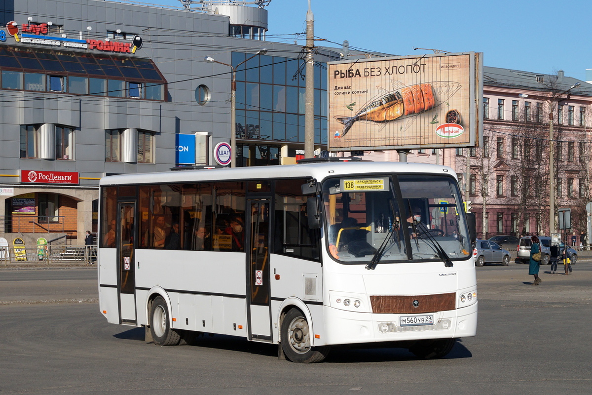 Архангельская область, ПАЗ-320414-05 "Вектор" (1-1) № М 560 УВ 29