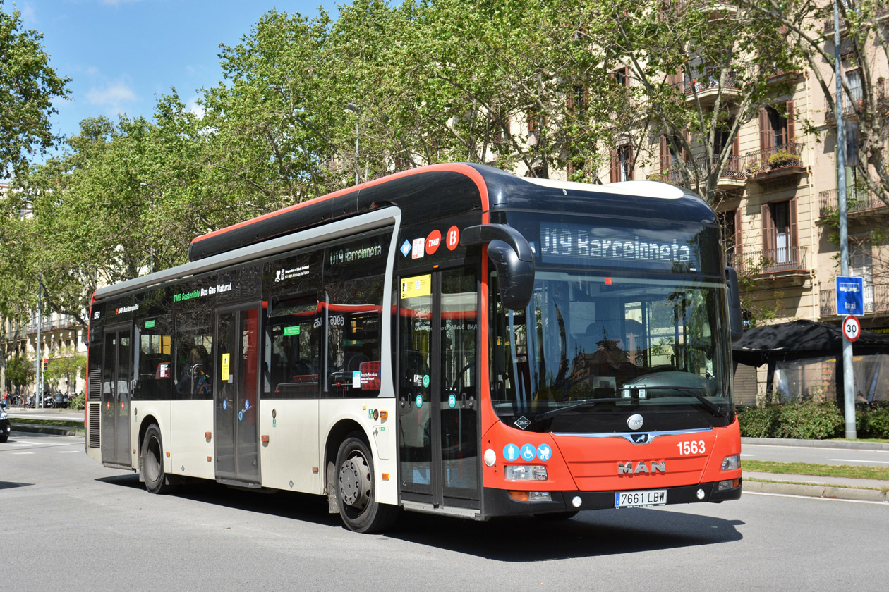 Испания, MAN A21 Lion's City NL313 CNG (Burillo) № 1563