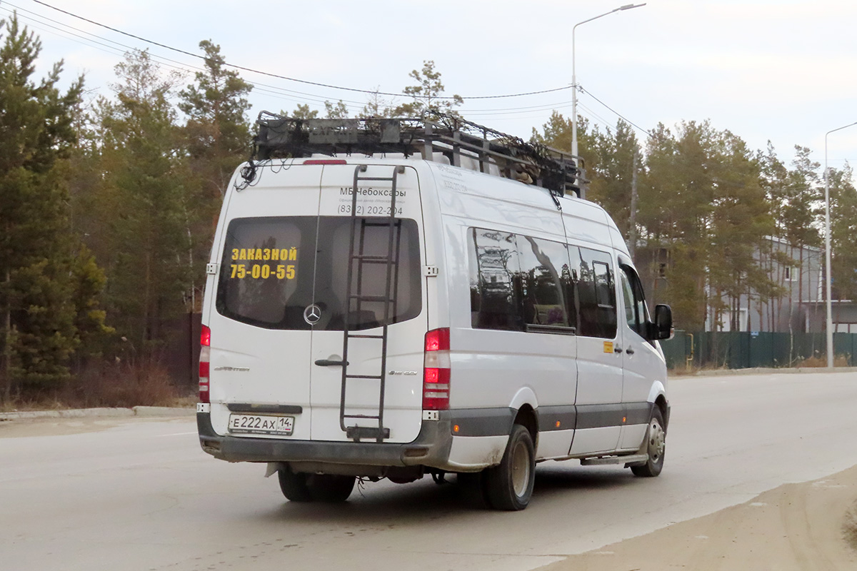 Саха (Якутия), Луидор-223602 (MB Sprinter) № Е 222 АХ 14