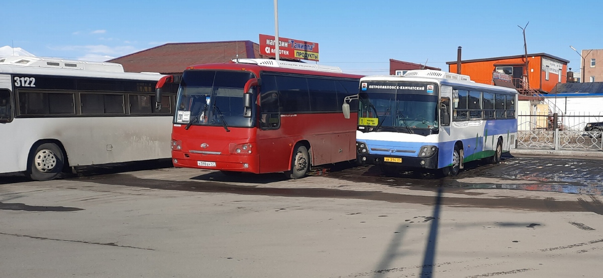 Камчатский край, Daewoo BS106 Royal City (Busan) № 3147