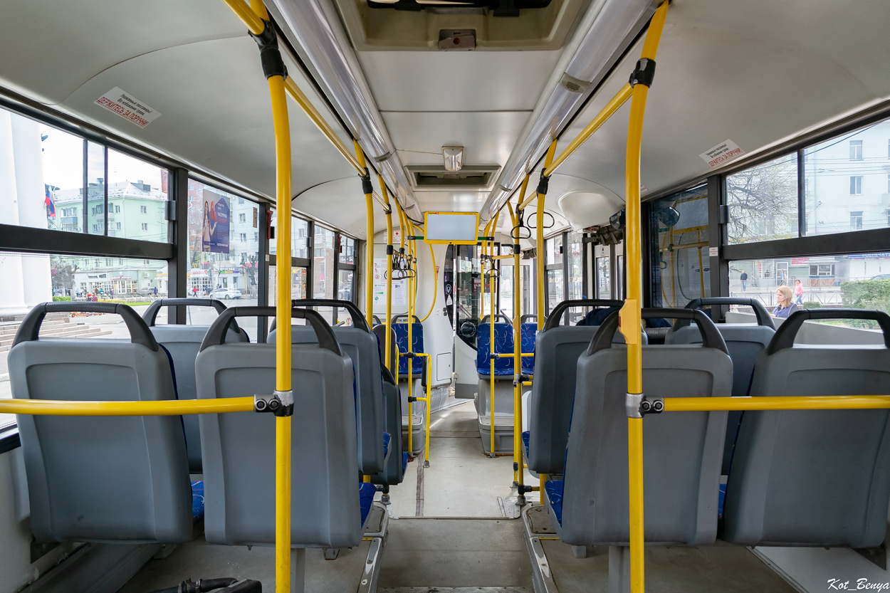 Рязанская область, НефАЗ-5299-30-31 № 1351