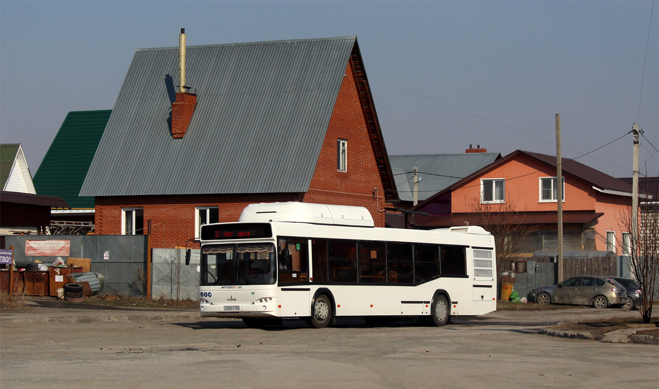 Новосибирская область, МАЗ-103.965 № 11011